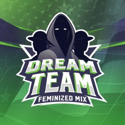 Dream Team Feminized Mix 12 Semillas Bsf Seeds