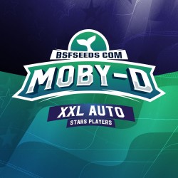 Moby-D Xxl Auto 4 Semillas Bsf Seeds