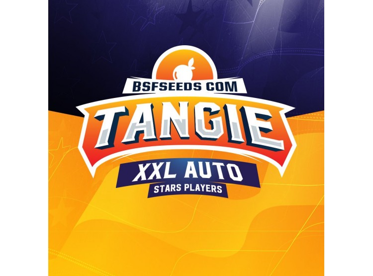 Tangie Xxl Auto 2 Semillas Bsf Seeds - BSF Seeds